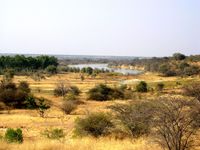 Okavango